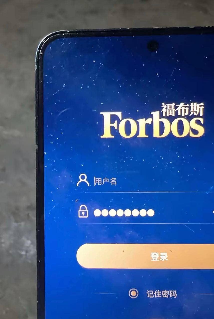 福布斯游戏图片11